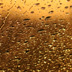 Regen